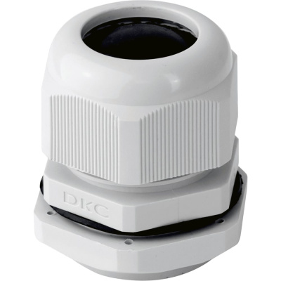 Сальник DKC PG - 42 28-38 IP68 5шт