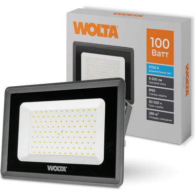 Wolta Светодиодный прожектор, 5700K холодный белый свет, 100Вт, IK08, SMD IP 65, серый