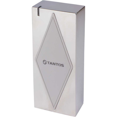 Считыватель-контроллер Tantos TS-RDR-E Metal W-26