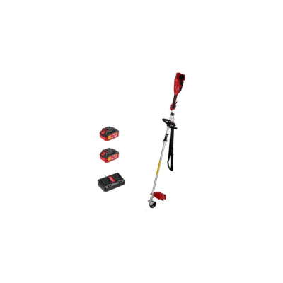 Аккумуляторный триммер WORTEX TB 3036-1 ALL1 XLT SET