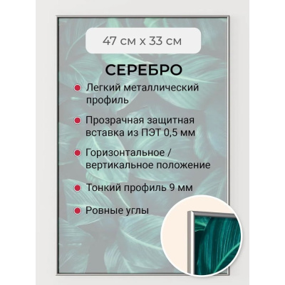 Фоторамка серебристая алюминиевая рамка 47x33 см Niel-2sm-47x33 Niel-2sm-47х33