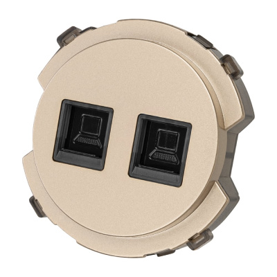 Розетка компьютерная TDM ELECTRIC двойная RJ45 шампань, "байкал"