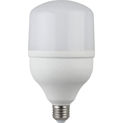 Светодиодная лампа ЭРА LED smd POWER 30W-6500-E27 20/420 Б0027004