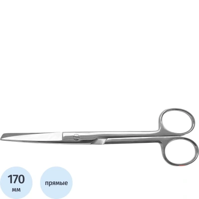 Ножницы с одним острым концом, прямые, 170 мм