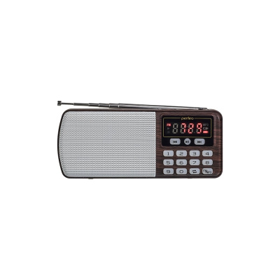 Цифровой радиоприемник Perfeo ЕГЕРЬ FM MP3 коричневый