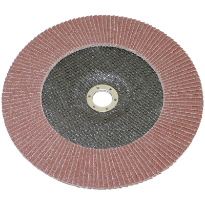 Круг TLX КЛТ1 230x22,2 14А Р 60 №25