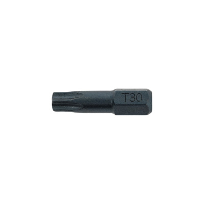 Биты TORX TХ30, 25 мм, 20 шт RAWLPLUG
