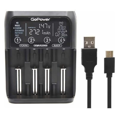 Зарядное устройство GoPower для аккумуляторов
