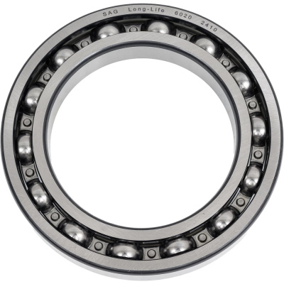 Подшипник SAG 6020