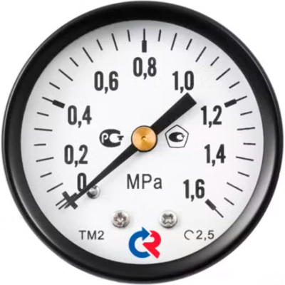 Манометр РОСМА ТМ-110Т.00 осевой (0-6МПа) G1/8 2.5, ДК40мм