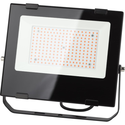 Светодиодный фитопрожектор для растений ЭРА FITO-100W-RB-LED красно-синего спектра 100 Вт