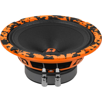 Акустическая система DL AUDIO Barracuda 165 v.2