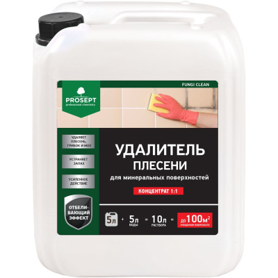 Удалитель плесени PROSEPT FUNGI CLEAN концентрат 1:1, 5 л