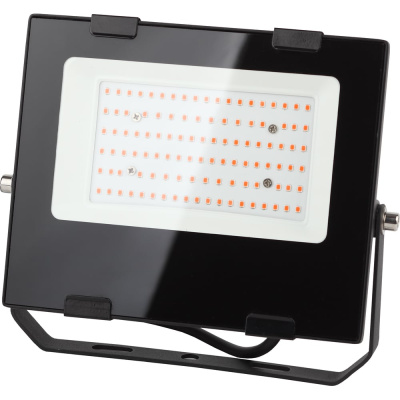 Светодиодный фитопрожектор для растений ЭРА FITO-50W-RB-LED для цветения и плодоношения