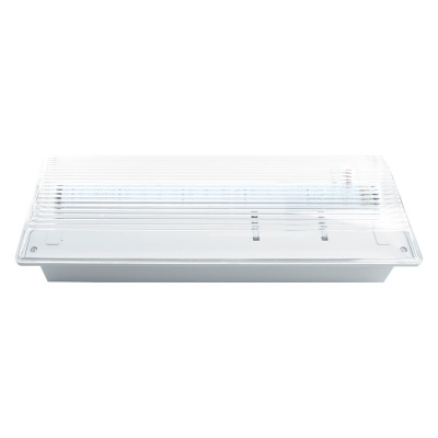 Аварийный светильник FERON 20 LED AC/DC, белый