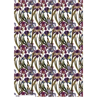 Бумага упаковочная FLORA.ИРИСЫ, 50 х 70 см (4 листа), 2-794/03