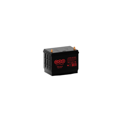 Аккумуляторная батарея литиевая WBR LiFePO4 GPLi24-40 24В 40Ач