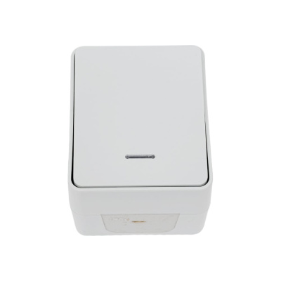 Выключатель 1-клавишный с подсветкой Systeme Electric AtlasDesign Profi IP54, 10 АХ, открытой установки, Серый