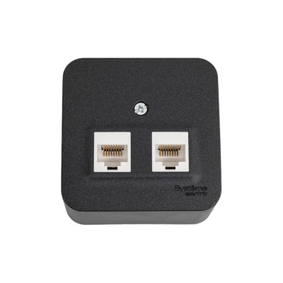 2-ая наружная компьютерная розетка Systeme Electric Blanca Антрацит, RJ45 SE