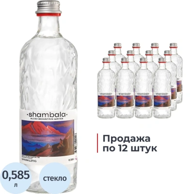 Вода минеральная Шамбала Горная природная стекло газ 0,585л